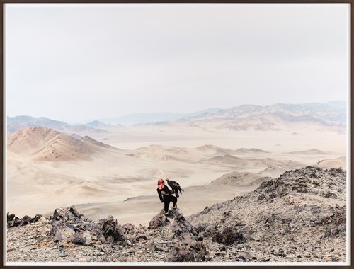 Eagle Hunting by artist Hannelore Vandenbussche